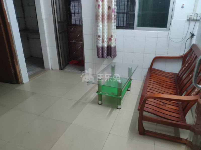 棠东龙门东街四巷6号-棠东村4542211客厅图4