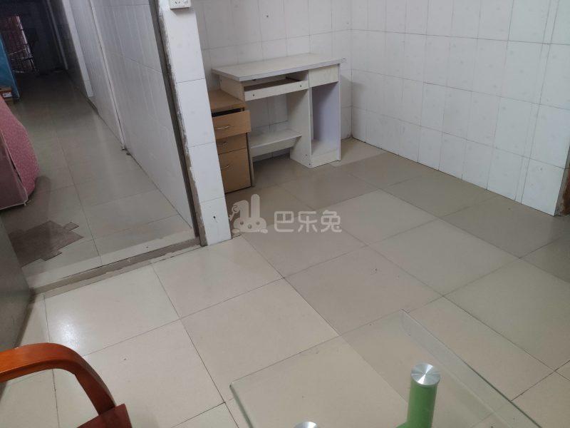 棠东龙门东街四巷6号-棠东村4542211客厅图7