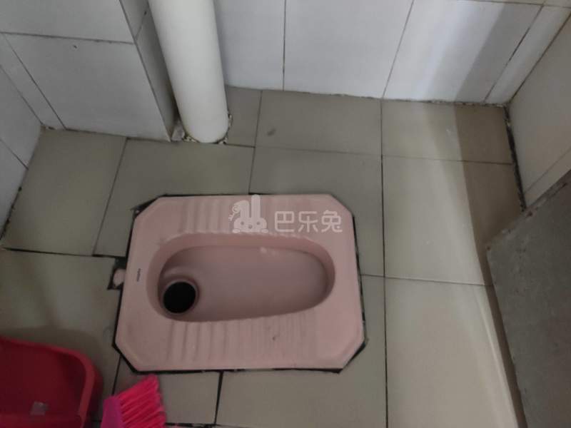 棠东龙门大街38号-棠东村4542778卫生间图6