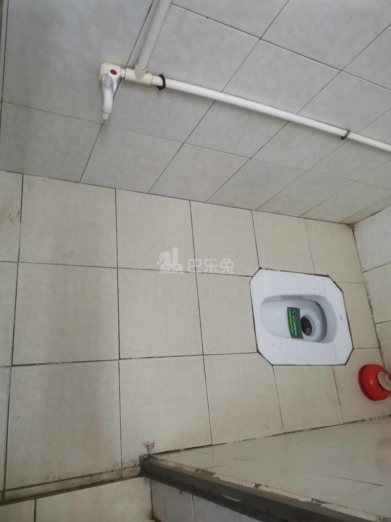 棠东龙门东街四巷1号-棠东村4542964卫生间图7