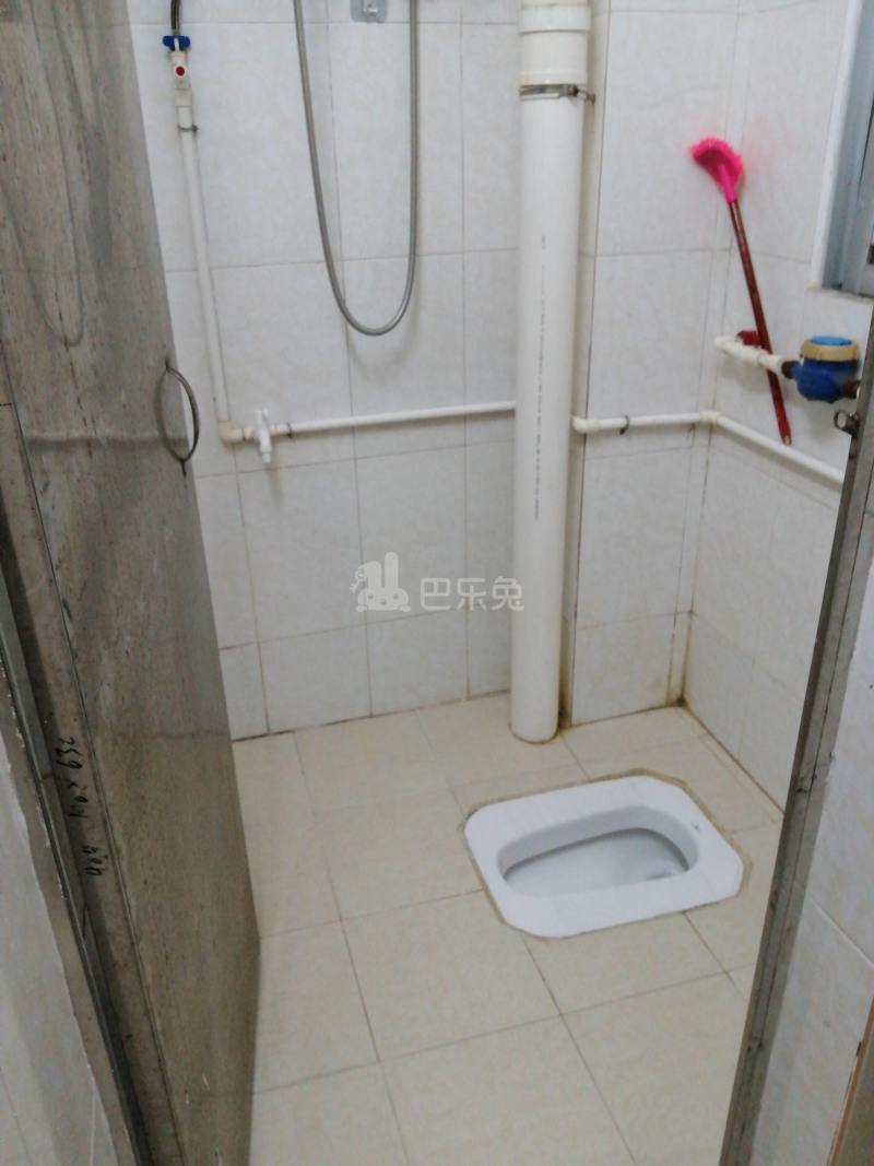 棠东龙门东街四巷1号-棠东村4542973卫生间图5