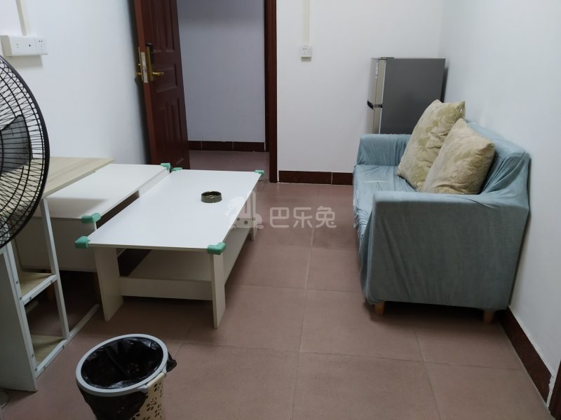 金领公寓（嘉禾望岗百花岭北街一巷1号）4544083客厅图3