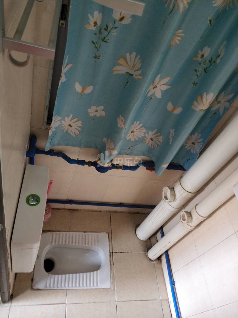 金领公寓（嘉禾望岗百花岭北街一巷1号）4544085卫生间图7