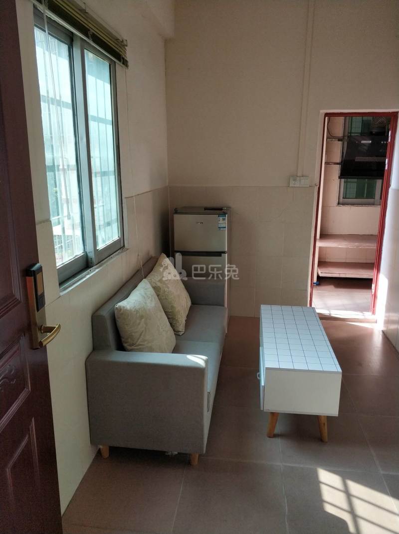 金领公寓（嘉禾望岗百花岭北街一巷1号）4544085客厅图4