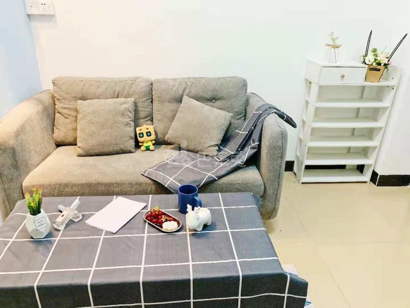 梦享社区青年公寓4547829客厅图3