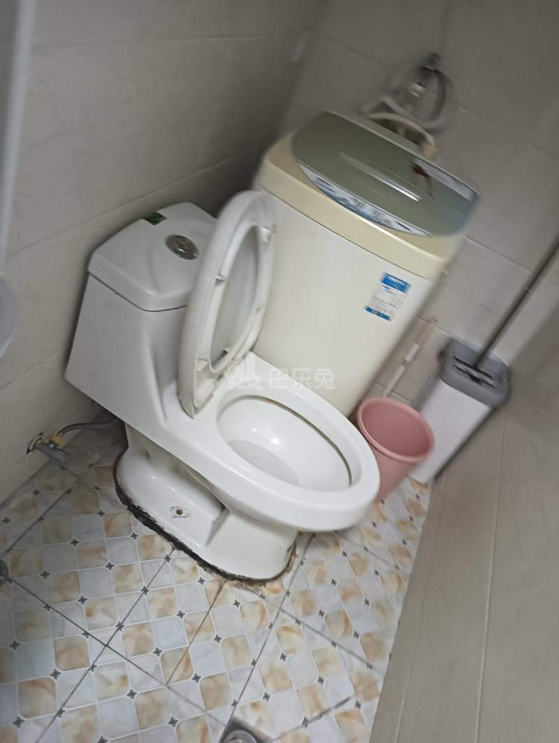 孙桥玫瑰湾4548580卫生间图4