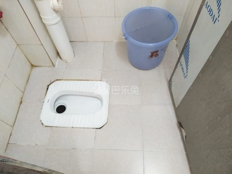 黄村东明里五巷14号4550390卫生间图30