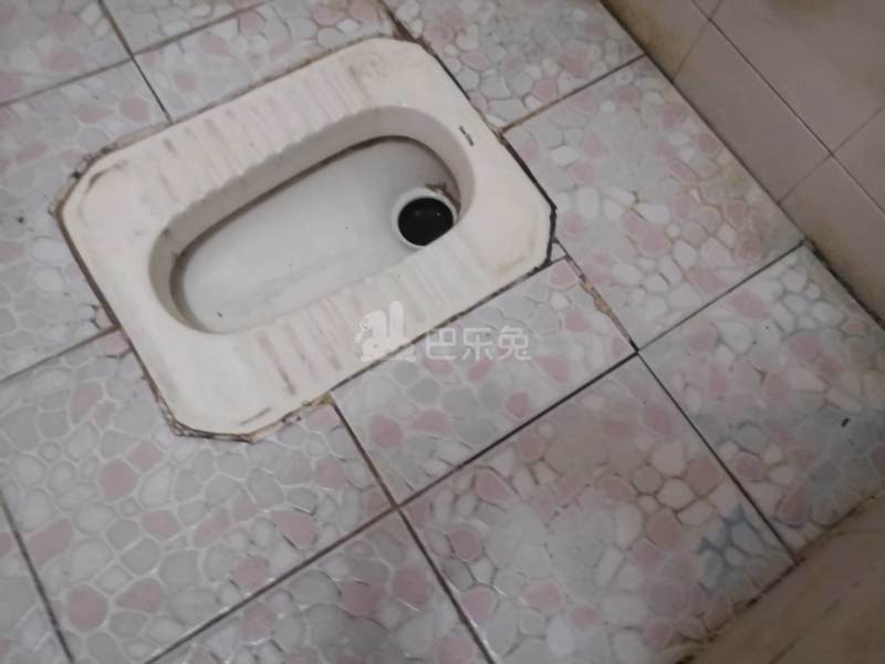 龙洞西街积善巷6号4553151卫生间图8