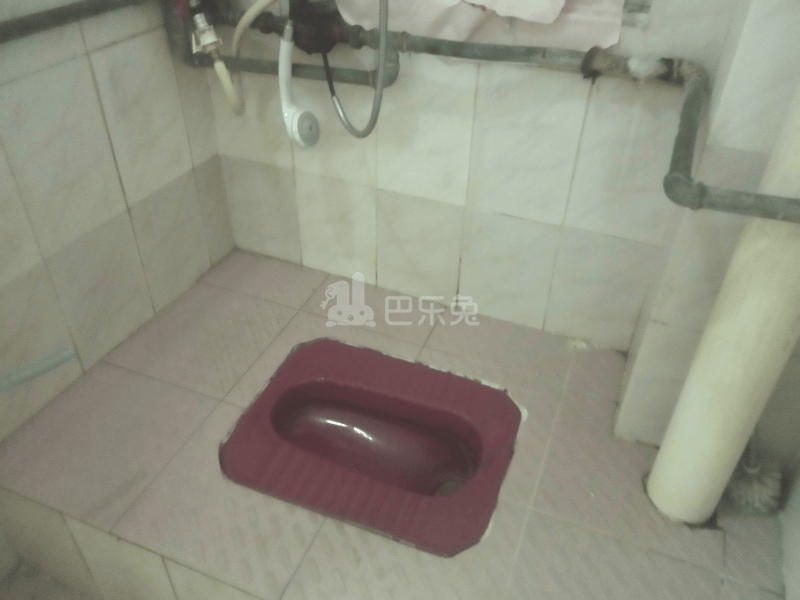 龙洞西街珠雅里一巷7号4553251卫生间图6