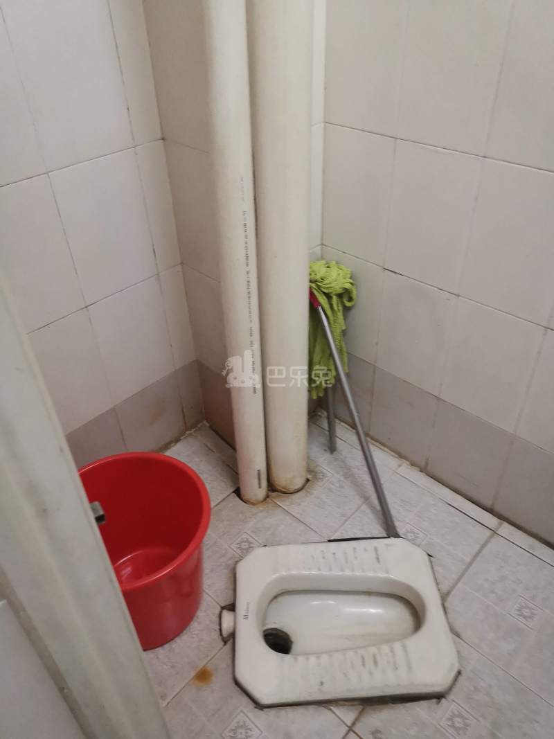 龙洞河陂北八巷4号4561573卫生间图6