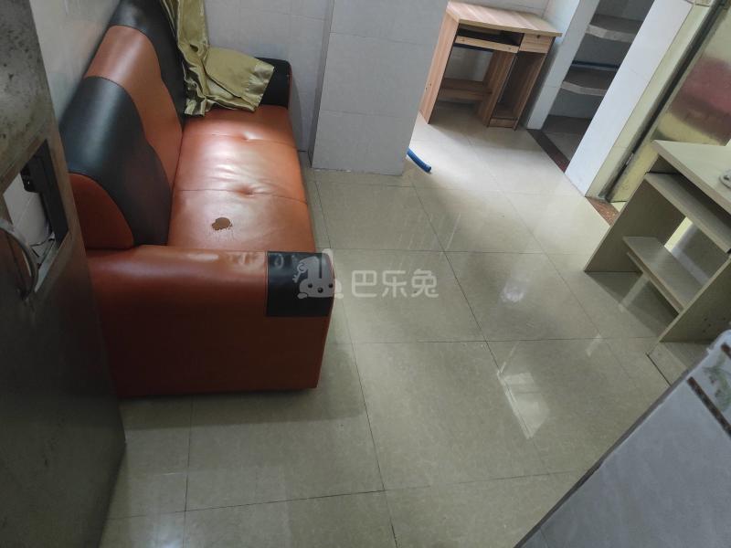 元岗和平巷5号4571522客厅图8