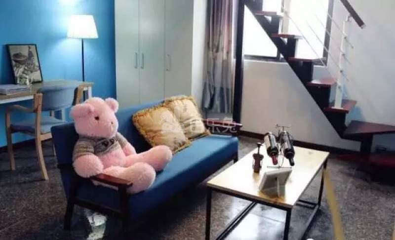 别方青年文化公寓4572352客厅图2