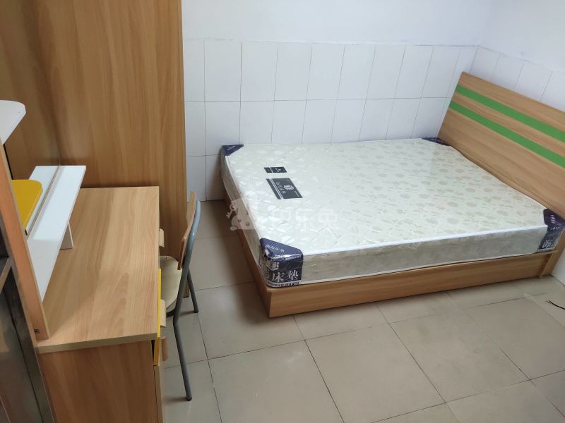 舒馨电梯公寓（上社乐泰大街5号）4599102客厅图3