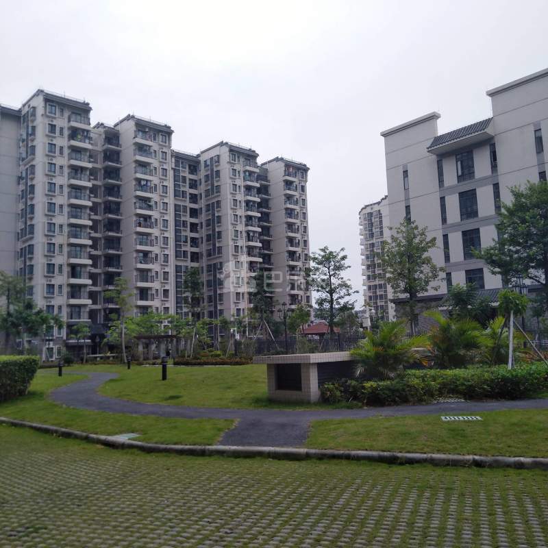 碧家国际社区（人和店）4603906周边环境图14