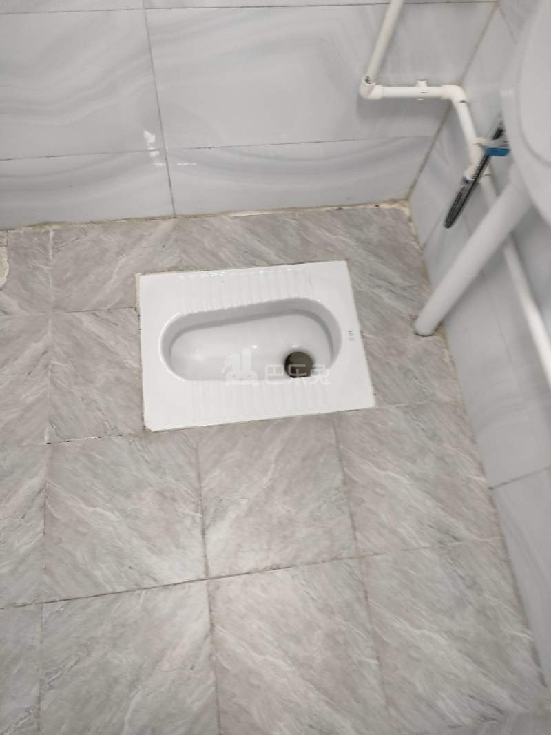 黄村石桥头下九巷3号4605450卫生间图10