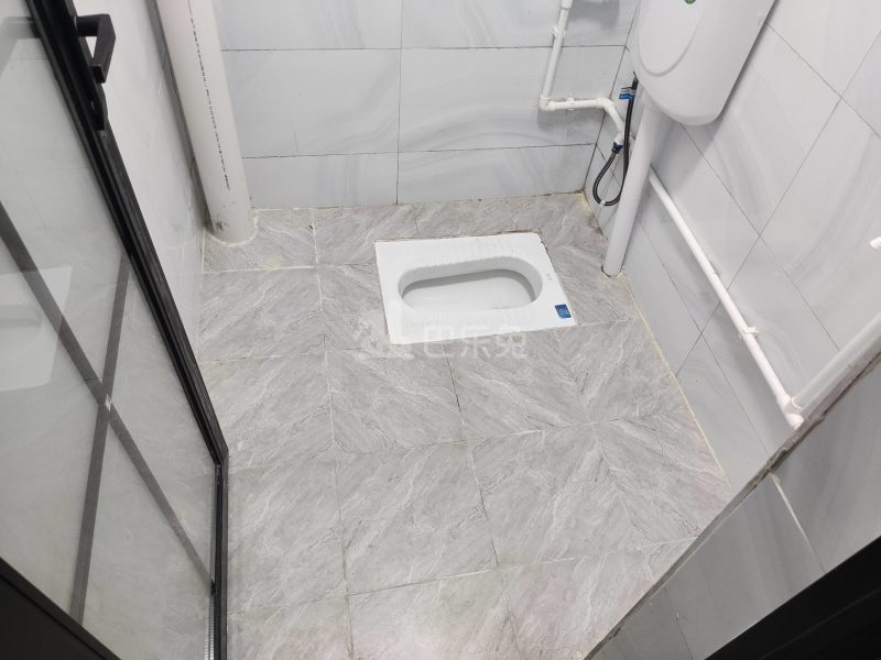 黄村石桥头下九巷3号4605450卫生间图8