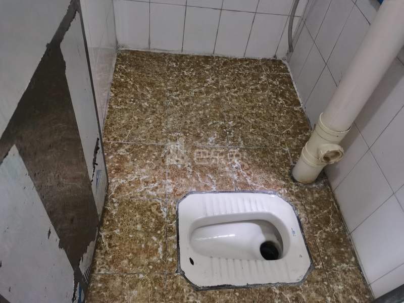 达盛公寓（达善大街塘尾里一号-棠下村）4622371卫生间图10