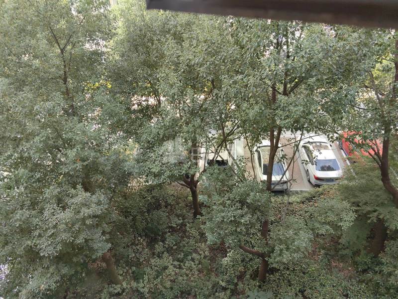 秋月朗庭4637016周边环境图16