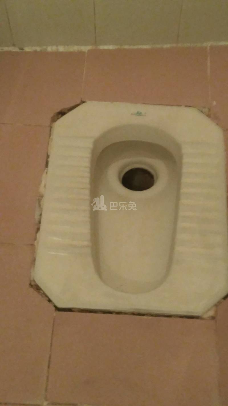 顺昌公寓（望岗村西岭街四巷18号）4642343卫生间图5