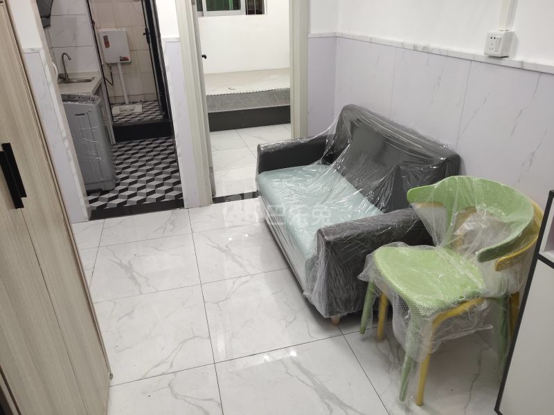 棠下南闸大街三巷3号4652481客厅图7