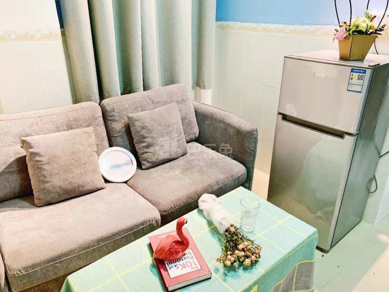 梦享社区青年公寓4652775客厅图2