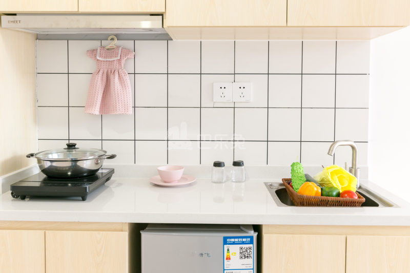 瑞喜荟国际青年公寓4661515厨房图8
