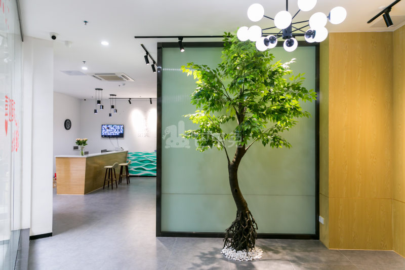 瑞喜荟国际青年公寓4661518周边环境图10