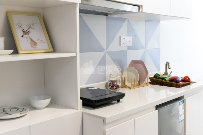 瑞喜荟国际青年公寓4661521厨房图8