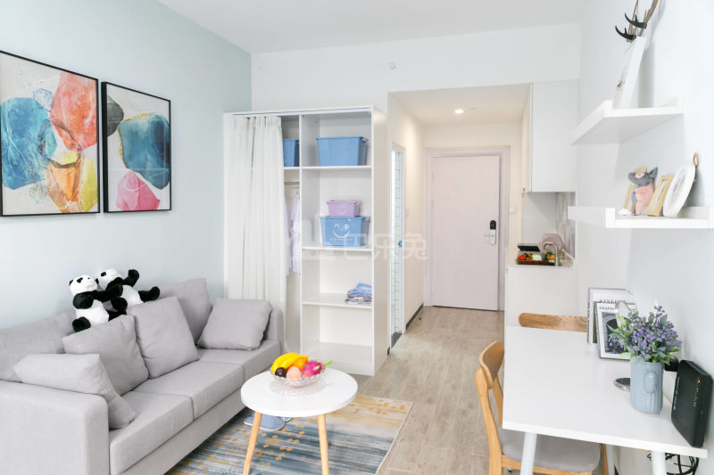 瑞喜荟国际青年公寓4661521客厅图6