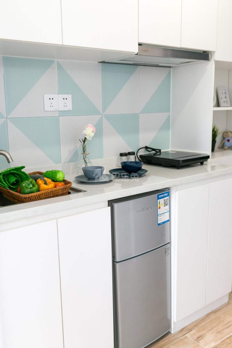 瑞喜荟国际青年公寓4661521厨房图9