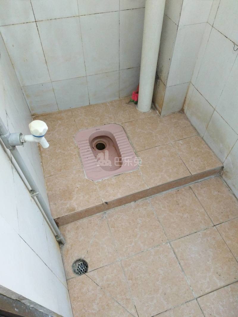 嘉禾望岗望岗村大山头二街2号4663119卫生间图5