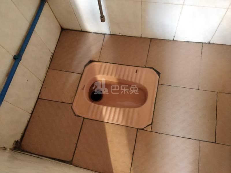 葛氏公寓（红卫新村直街30号）4679246卫生间图6