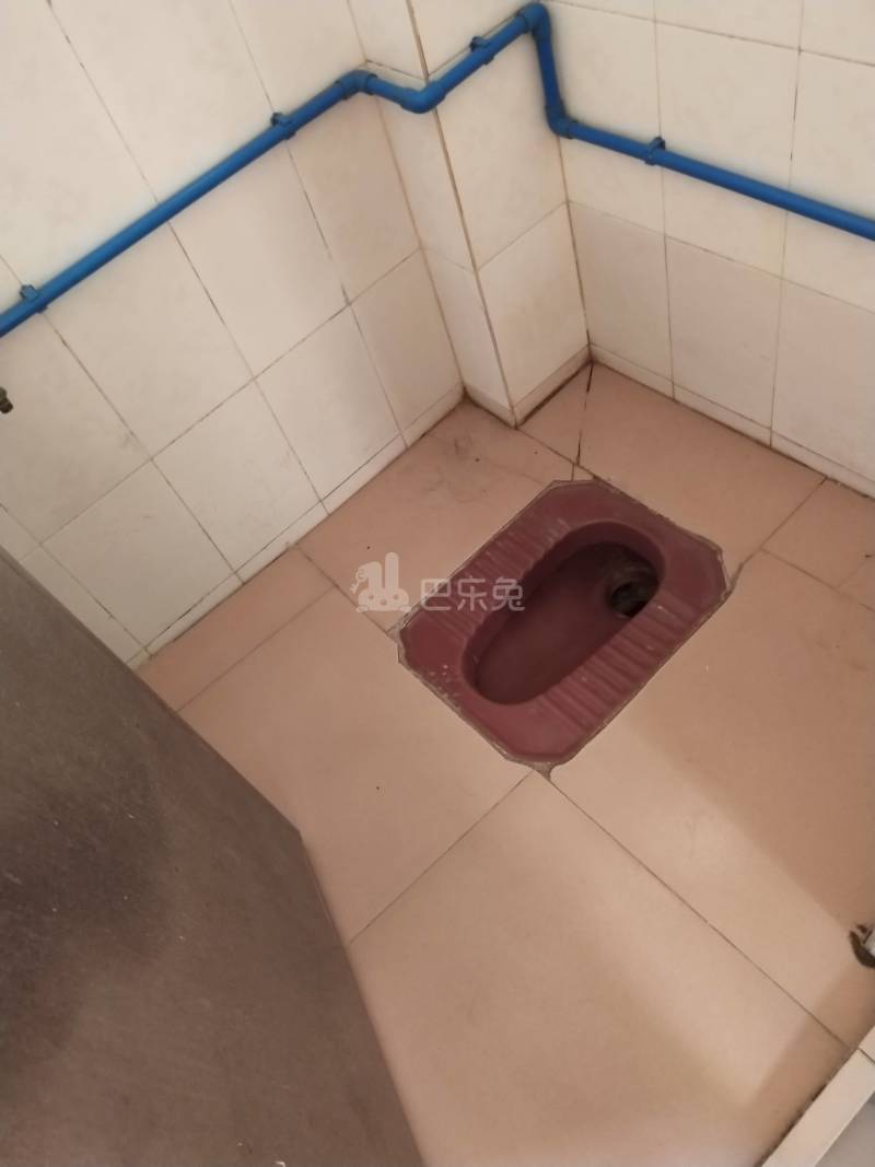 葛氏公寓（红卫新村直街30号）4679252卫生间图6