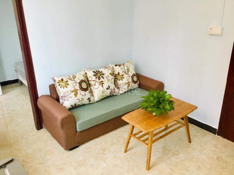 百顺公寓4685015客厅图7