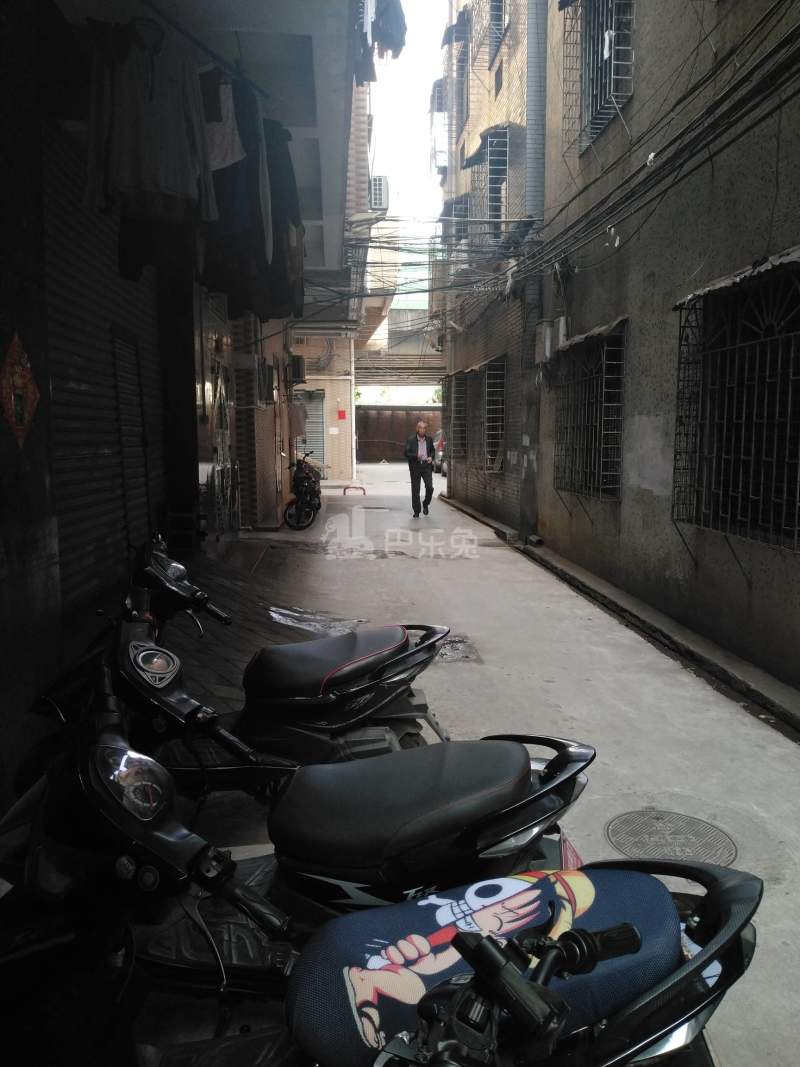 龙洞东园新村六巷3号4685537周边环境图9