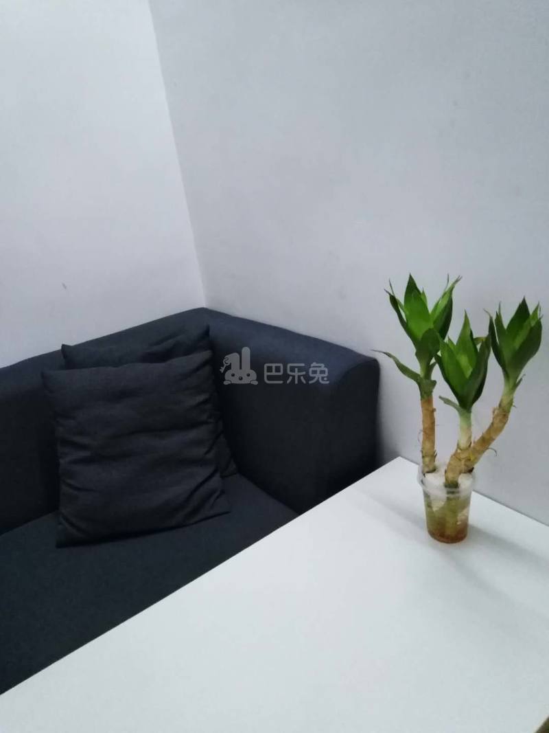 AAA优家公寓4687141客厅图3