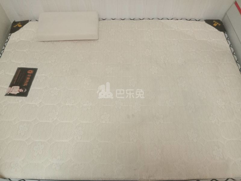 M7公寓（嘉禾望岗望岗村望岗西岭路43号）4687486卧室图4