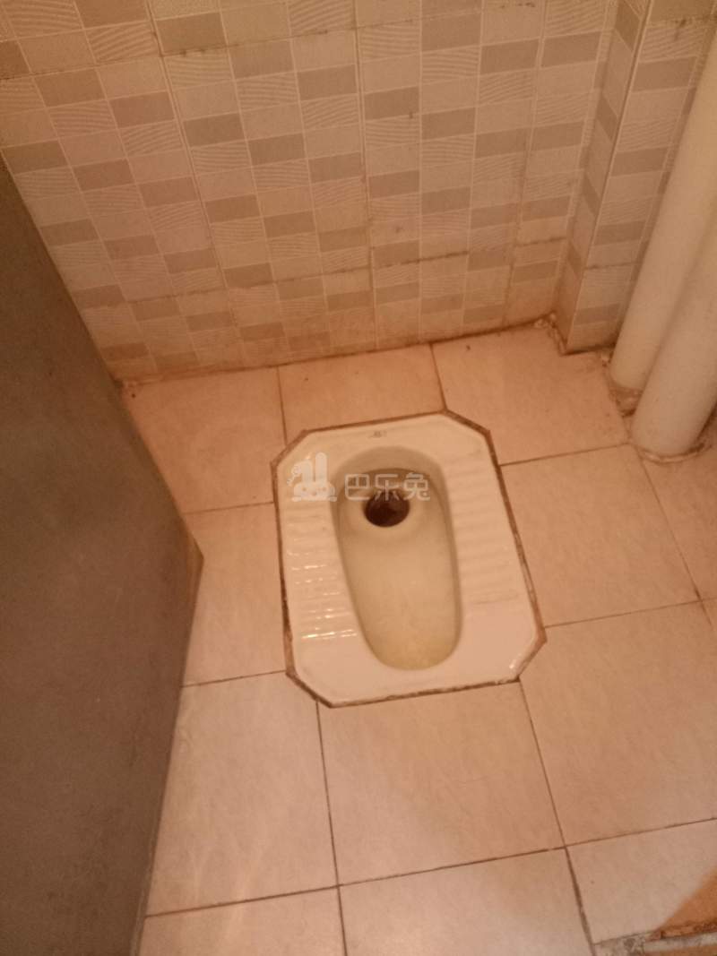 M7公寓（嘉禾望岗望岗村望岗西岭路43号）4687486卫生间图6