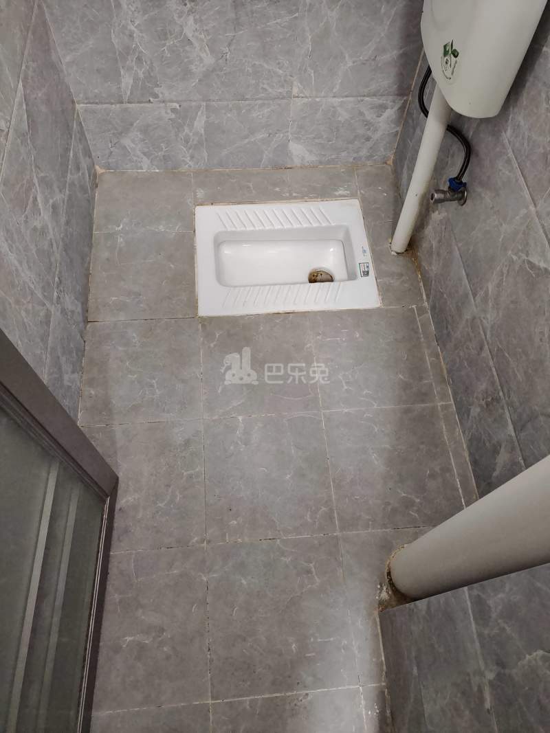 珠村中东新街十七巷2号4689604卫生间图9