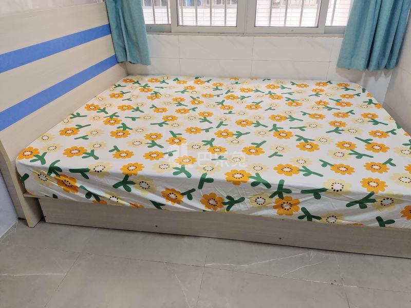 珠村中东新街十七巷2号4689604卧室图6