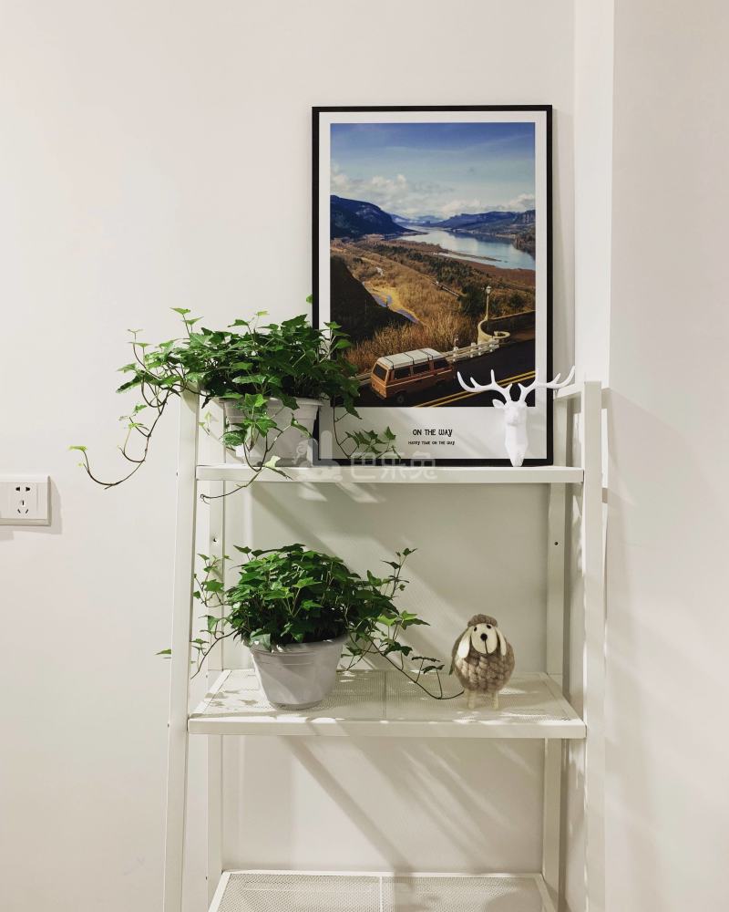 几何公寓4690537客厅图4