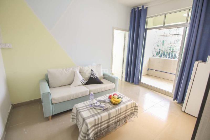 梦享社区青年公寓4694991客厅图4