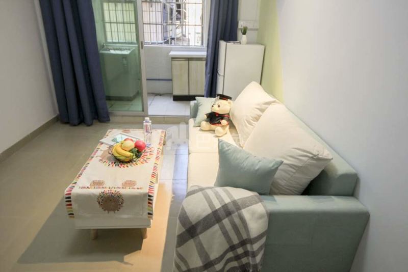 梦享社区青年公寓4695027客厅图4