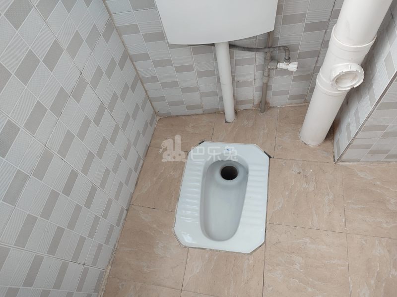 乐星雅居（彭上新村北十一巷17号）4699077卫生间图8