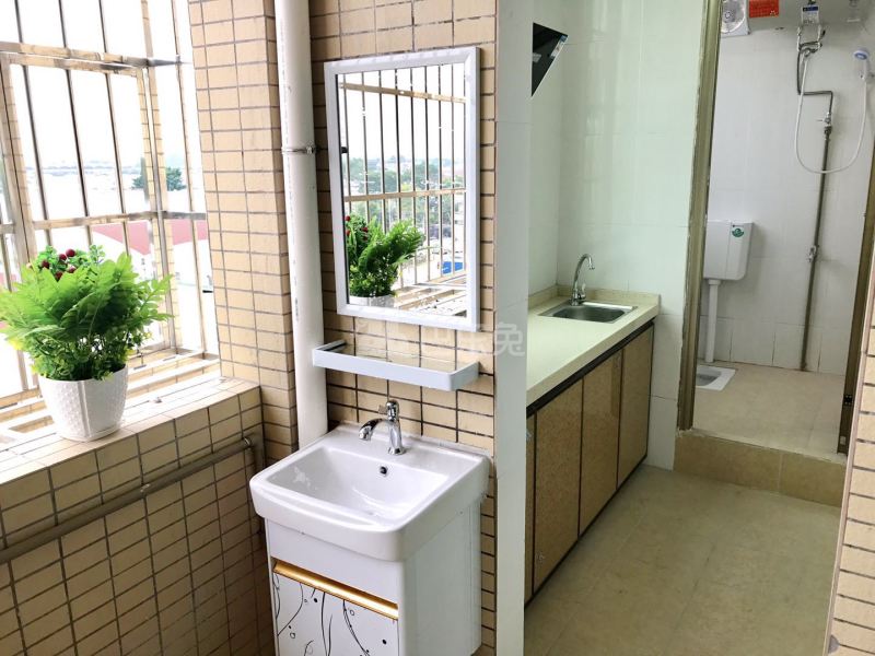 梦之家公馆255号4699464卫生间图6