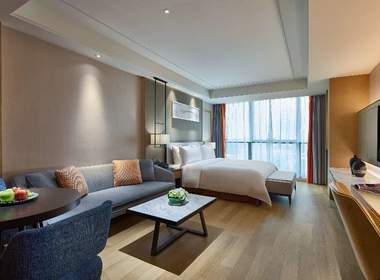 虹桥绿地铂瑞酒店公寓 1室1厅1卫