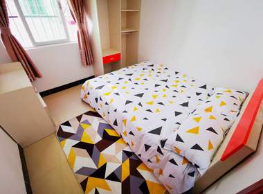 梦之家公寓（西朗南安店） 1室1厅1卫