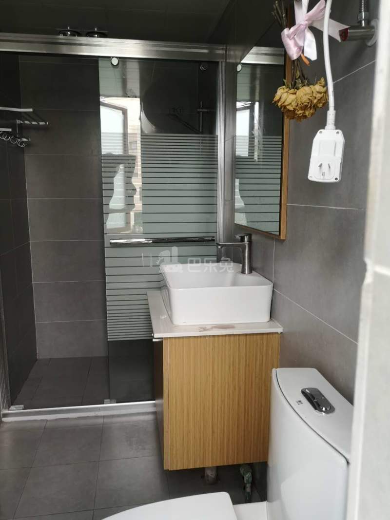 柚壳公寓（老东岳社区）4707553卫生间图2