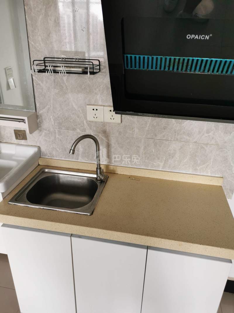 嘉绿文苑东园4707621厨房图4