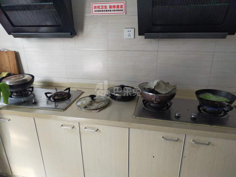 海德花园4739113厨房图16